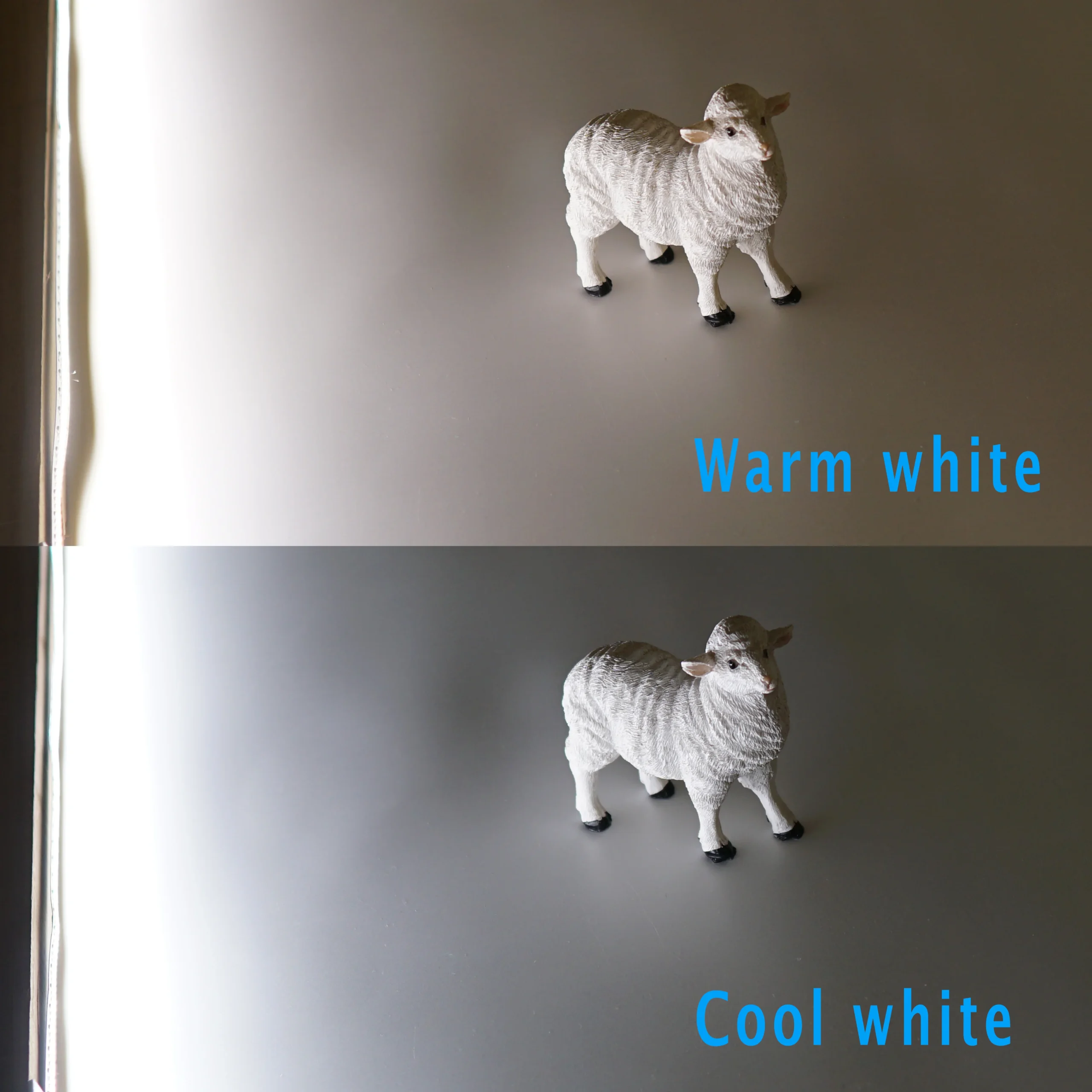 Warm white and cool white comparison image