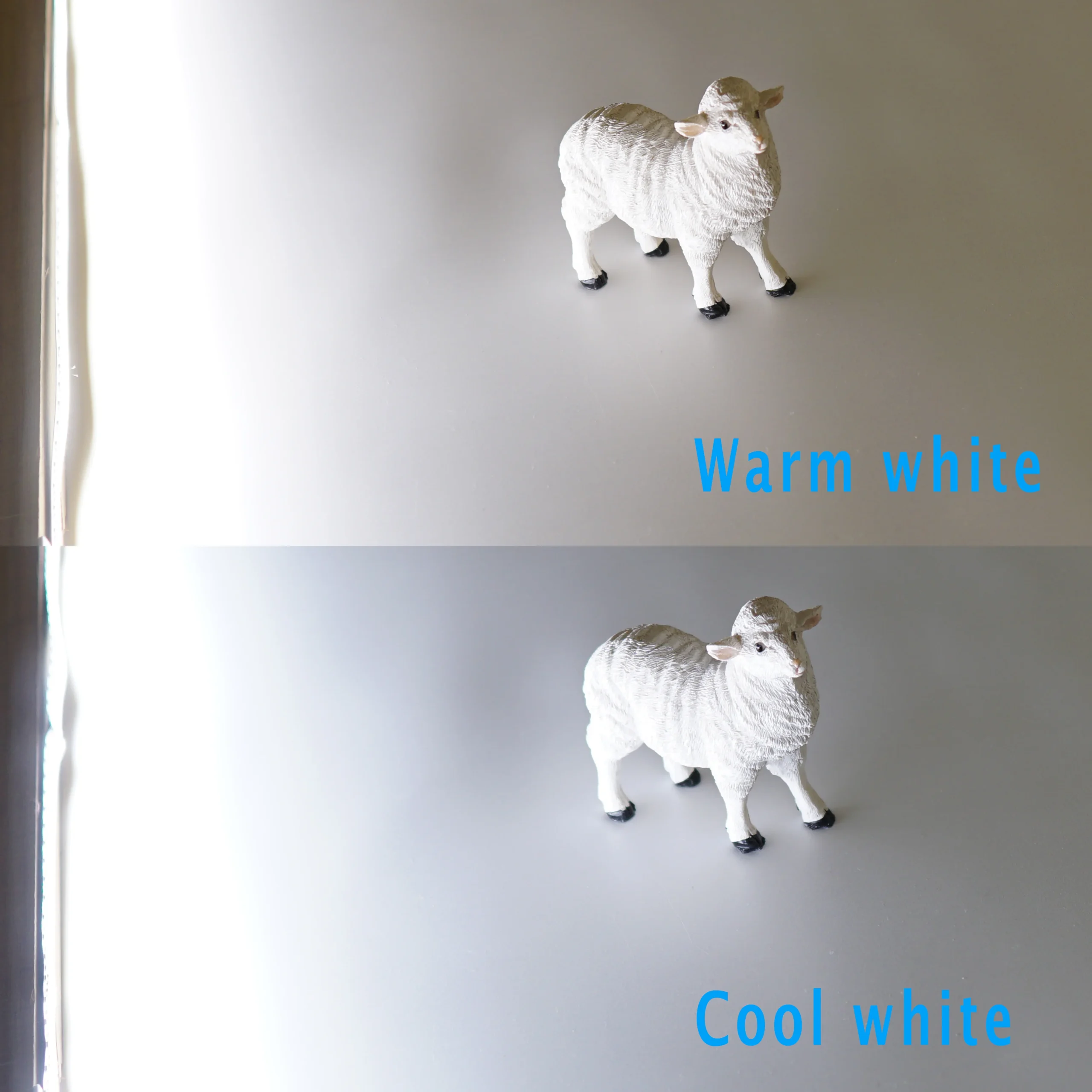 Warm white and cool white comparison